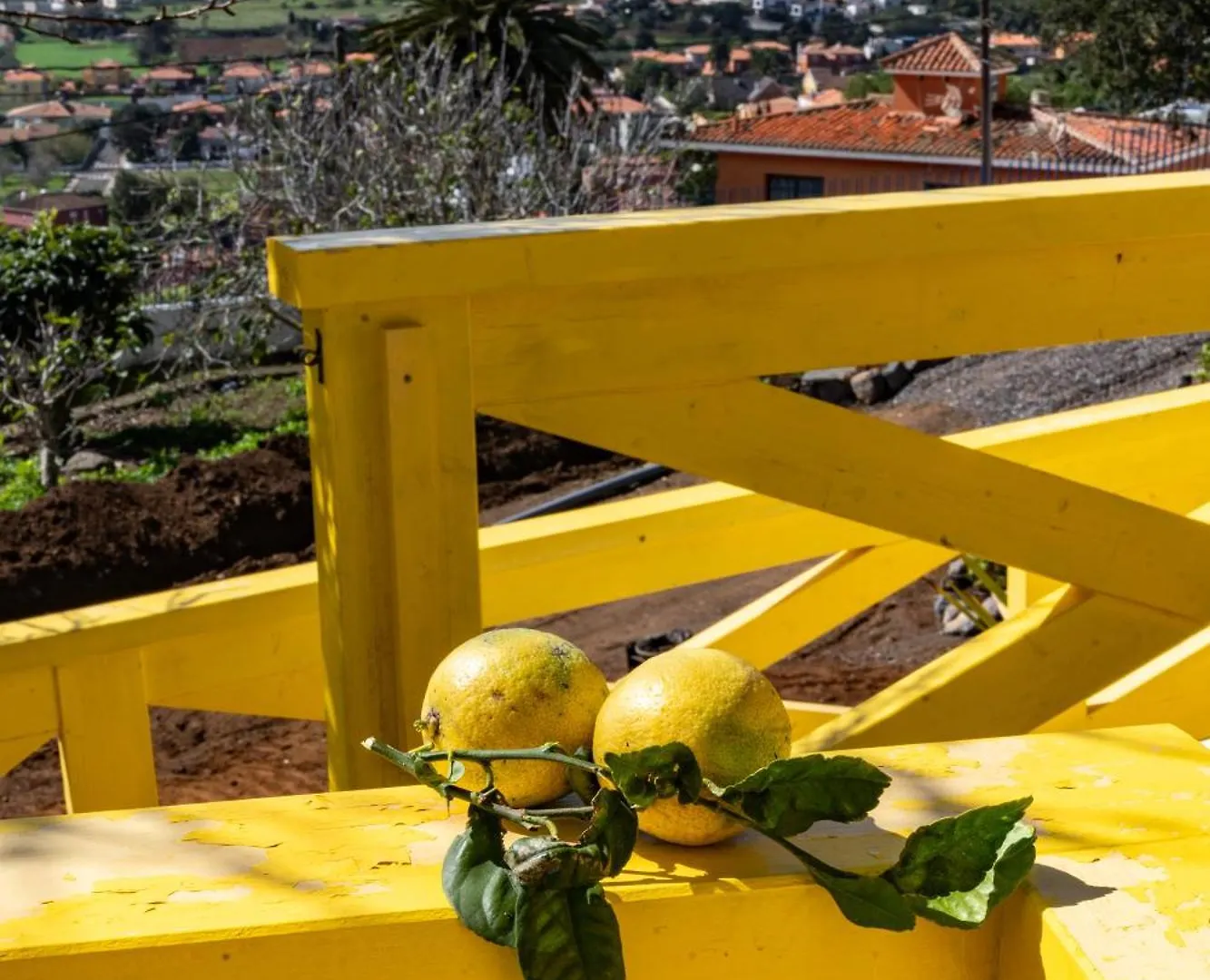 CerrogordoCasa De Limon别墅 度假居