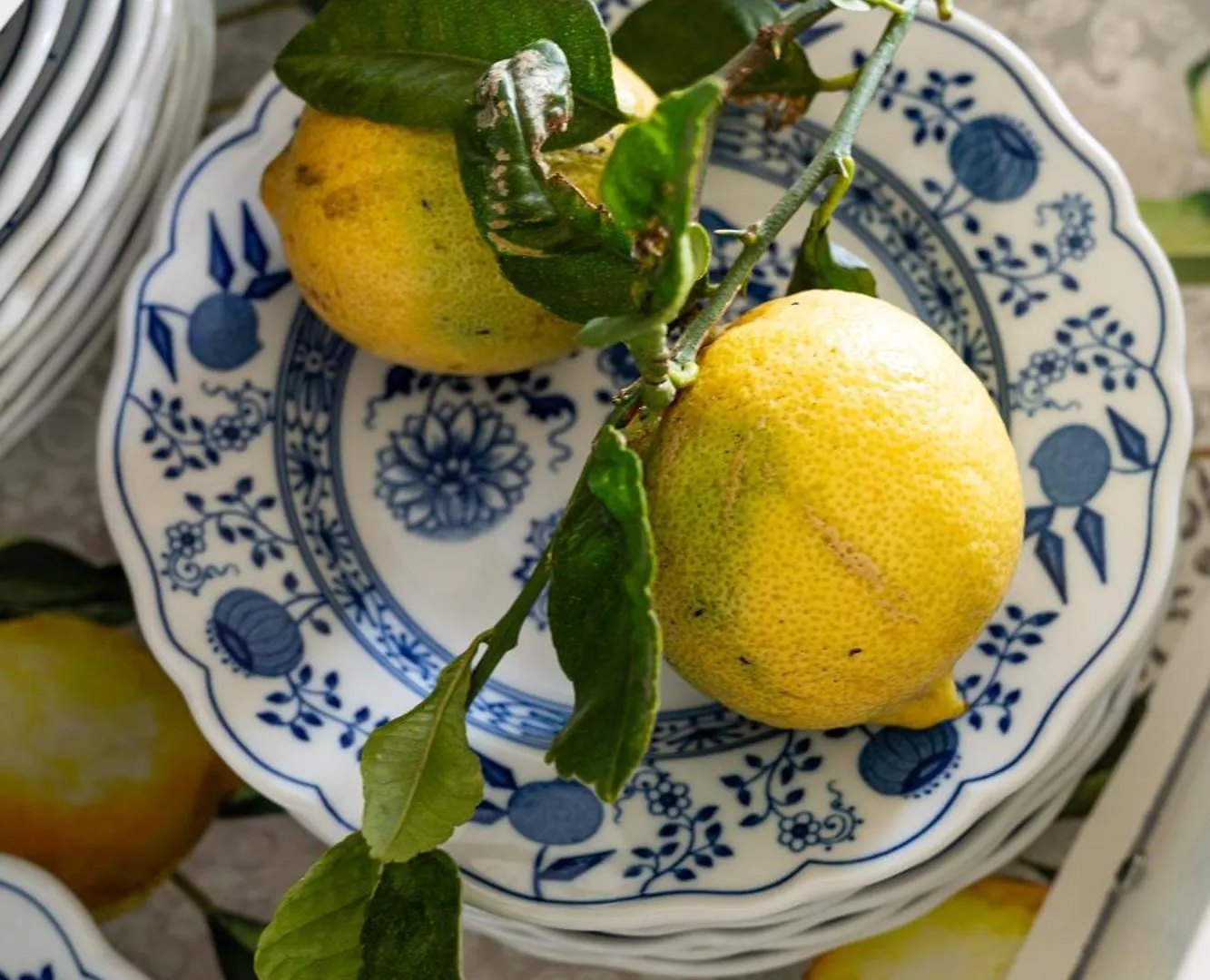 CerrogordoCasa De Limon别墅 西班牙